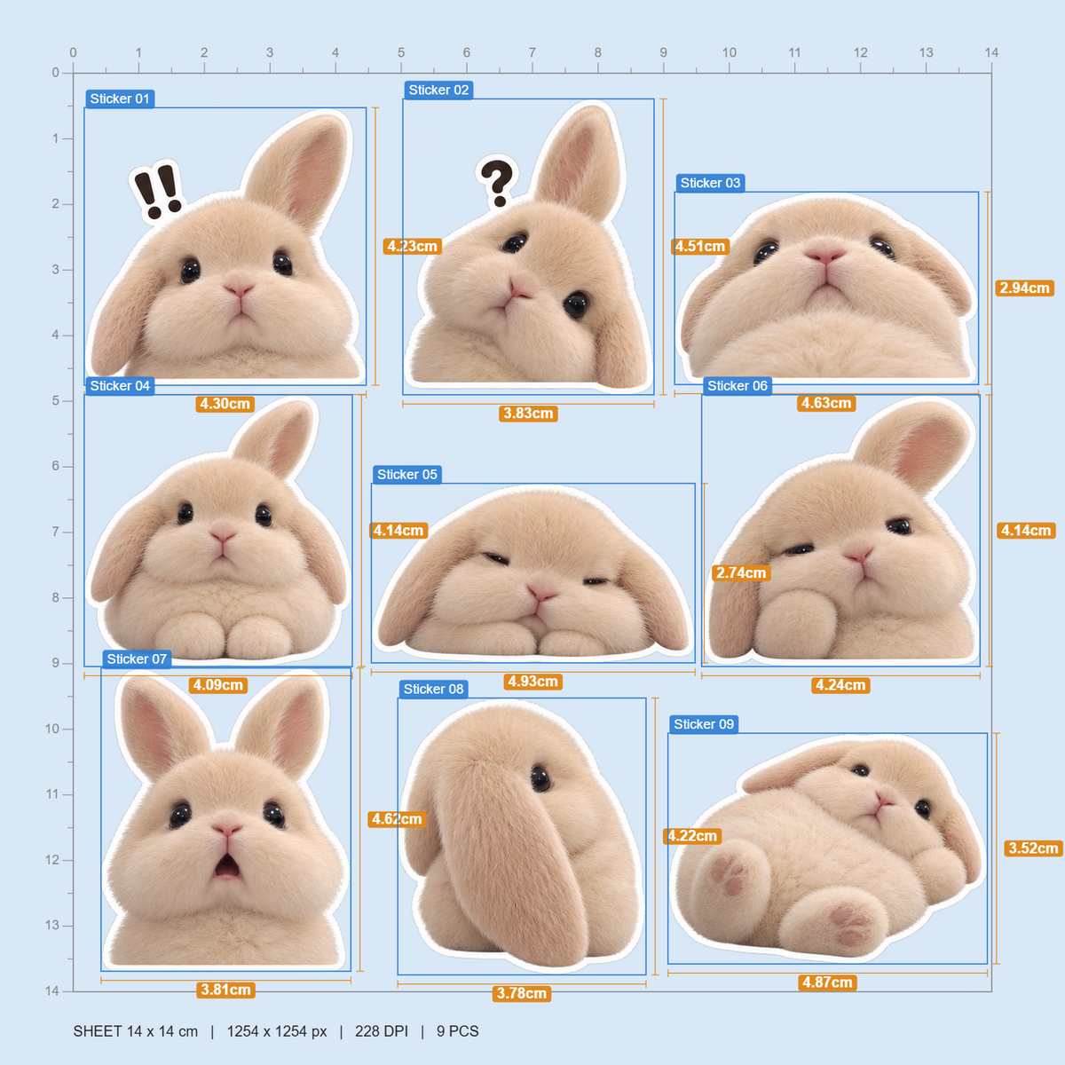 Funny Bunny