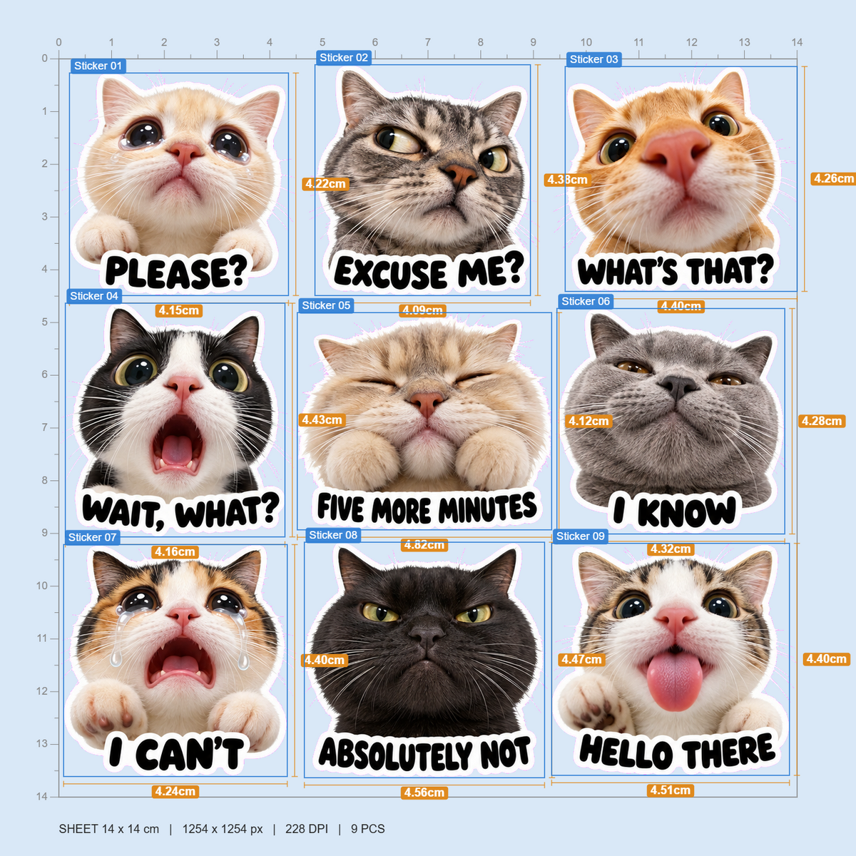 Cute Cat