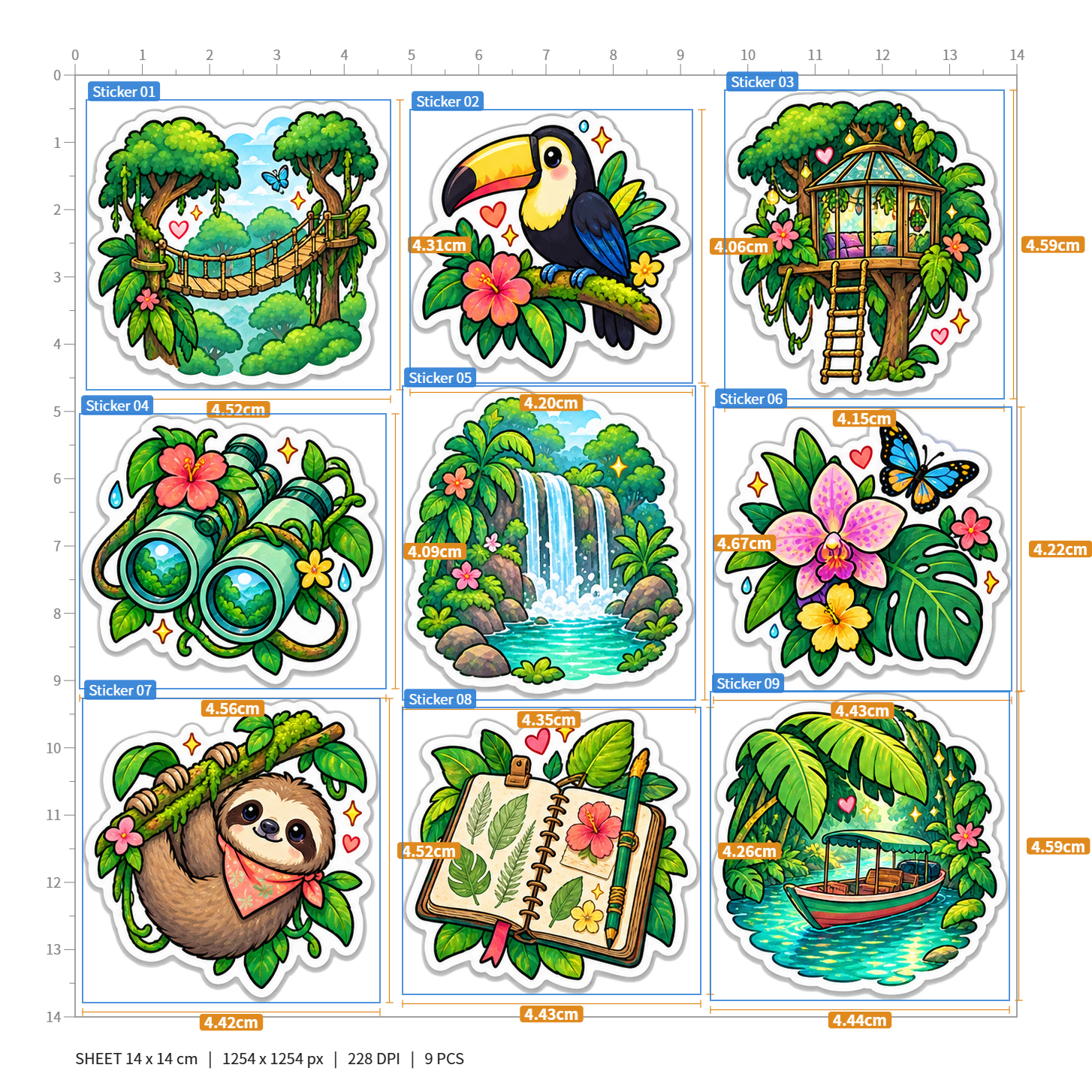 Rainforest Canopy Exploration