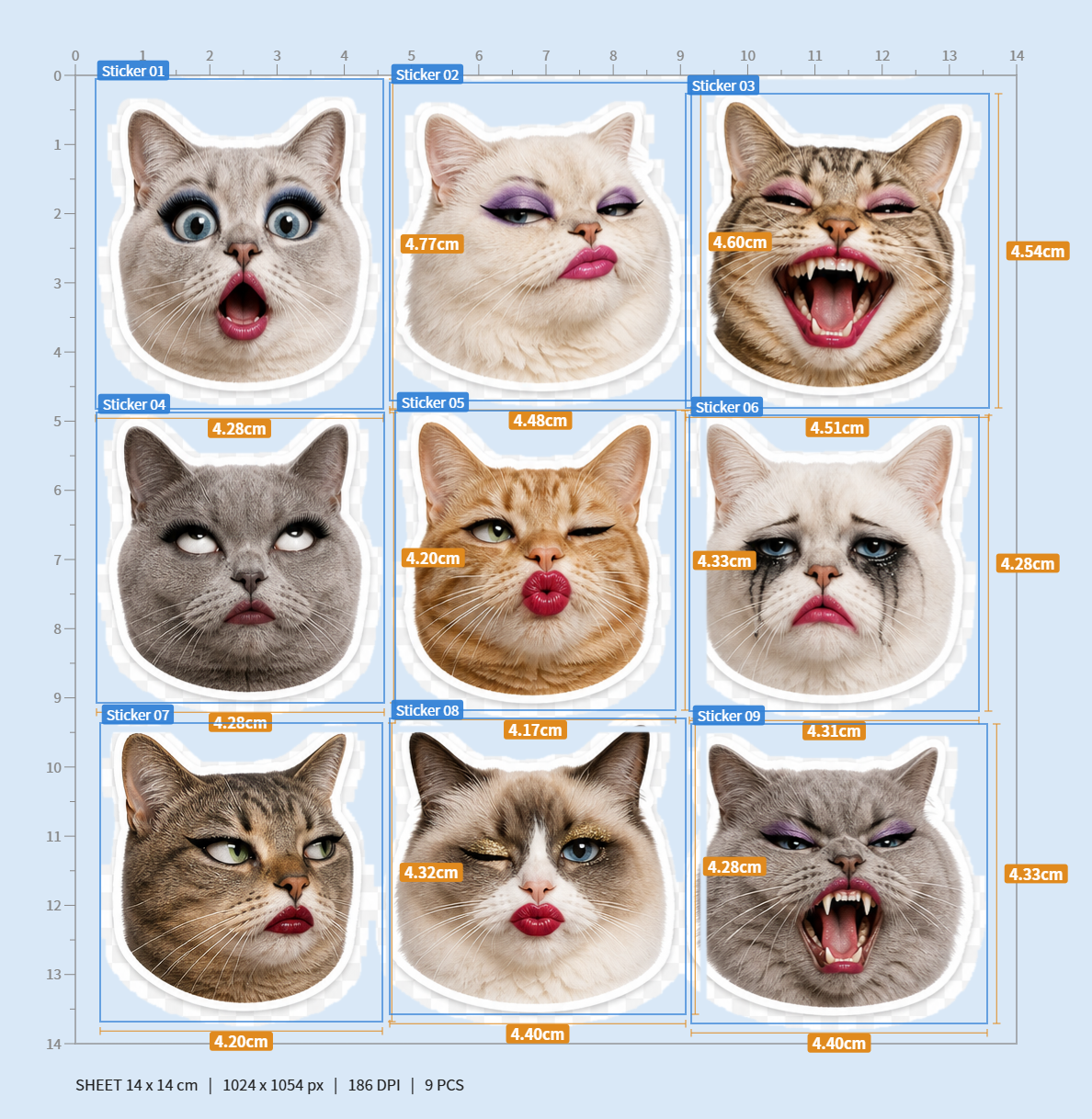 Cat Meme