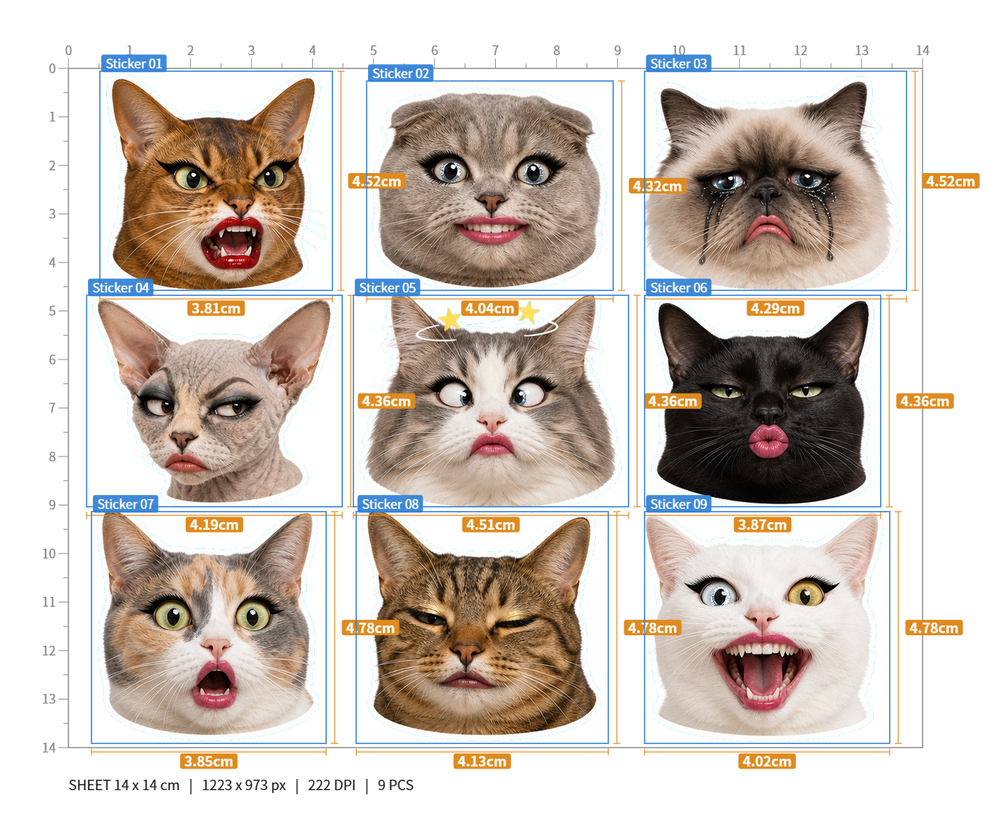 Exaggerated Cat Faces