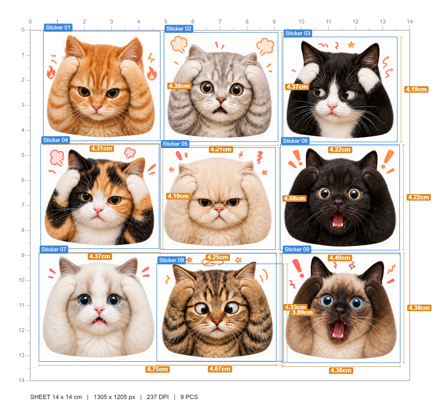 Meow's Chaos Life