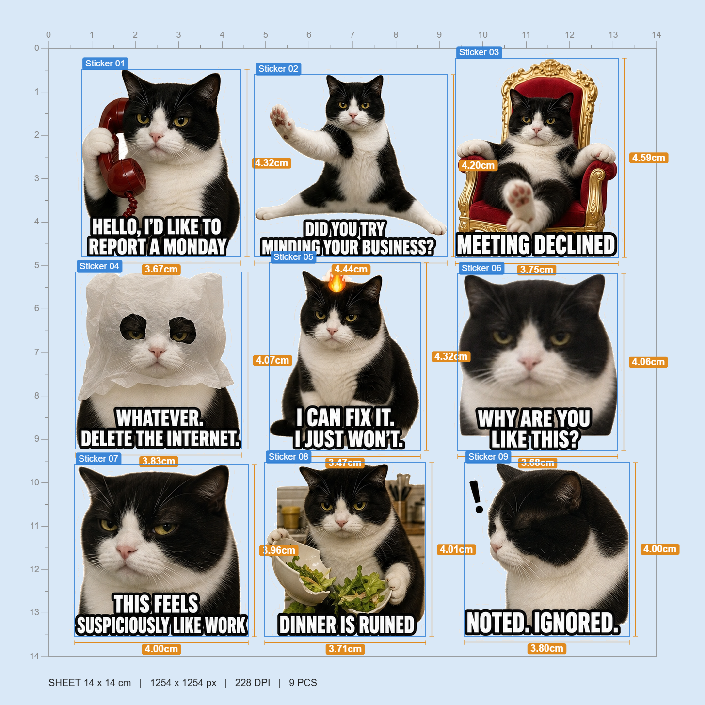 Meow's Life