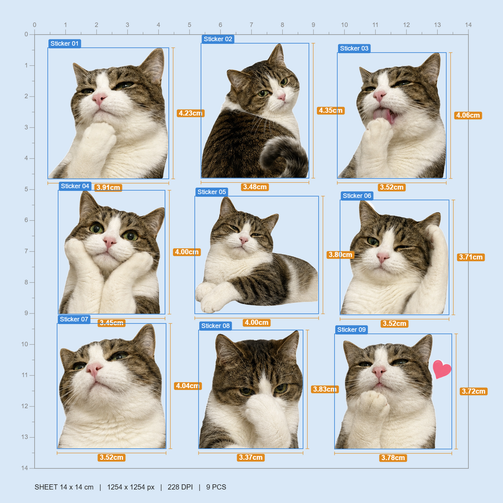 Lovely Meow