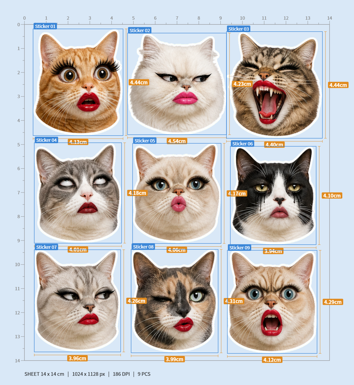 Cat Meme