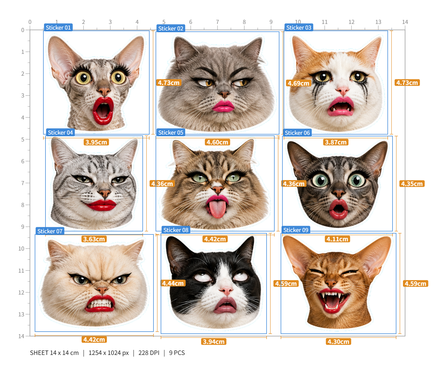 Exaggerated Cat Faces
