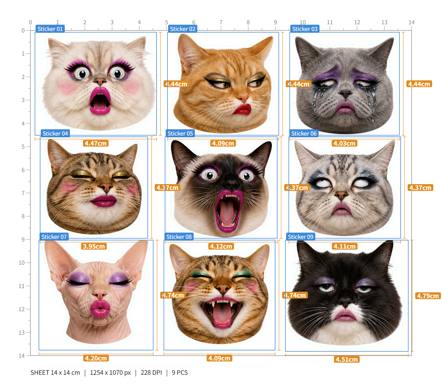 Exaggerated Cat Faces