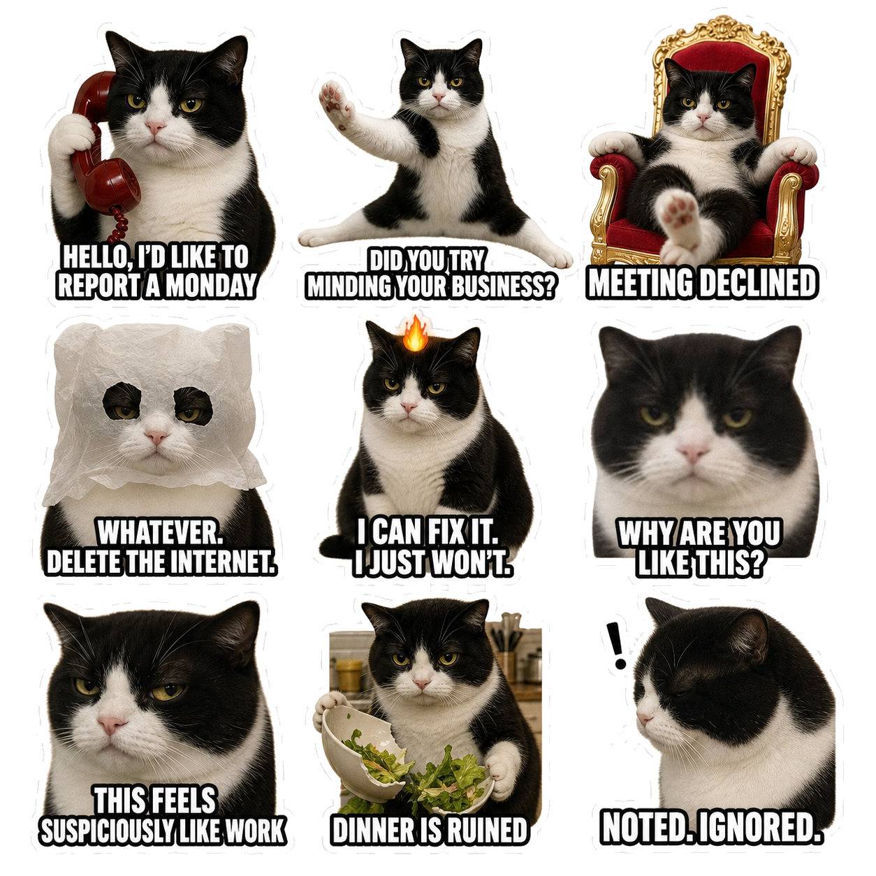 Meow's Life